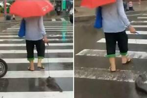 阿北雨天遛寵物「貼地滑溜扭動」　路人近看牽繩尾端傻眼