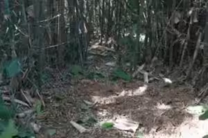 他挖蚯蚓挖出「30公斤大寶物」　專家驚嘆：來自千年前