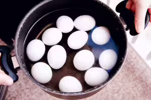 「每日1蛋」會怎樣?營養師實測一週「身體變化令她改觀」 「每日1蛋」會怎樣?營養師實測一週「身體變化令她改觀」