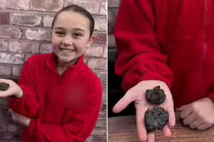 9歲女童散步撿到「怪石」　專家驚「來自45億年前」比地球還古老