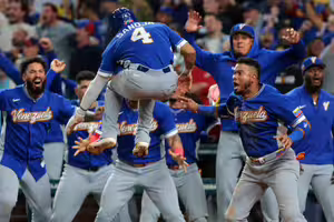 沒晉級也能拿！中華隊「WBC獎金」曝光