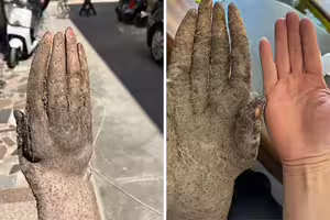 以為是人手!菜園挖出「異形山藥」 驚人收購價曝光 以為是人手!菜園挖出「異形山藥」 驚人收購價曝光