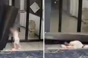 女童玩耍扒倒貨架　慘遭砸中頭部