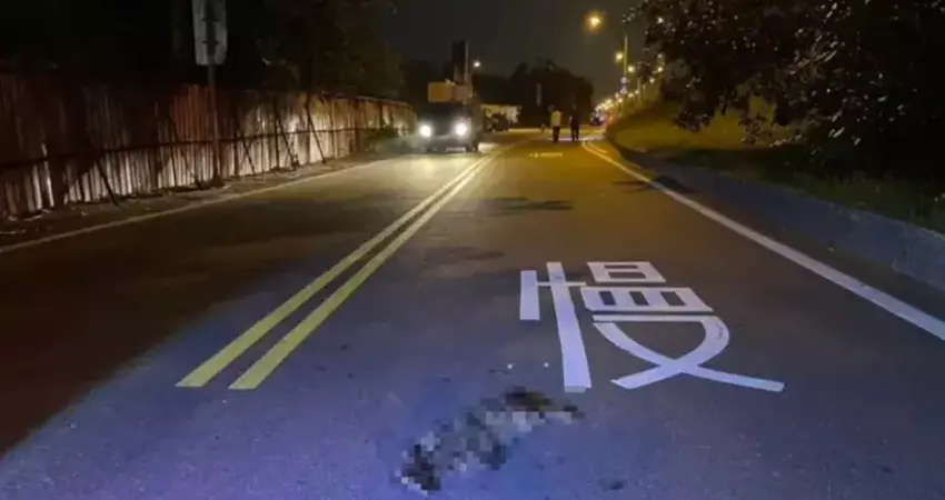 野貓突竄出釀憾事！男大生急閃撞鐵皮圍籬亡