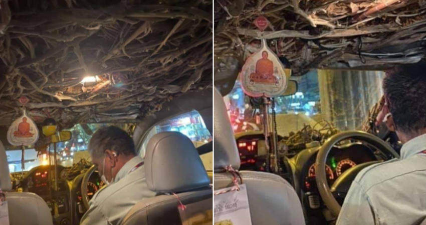 移動森林？她搭計程車「一看車頂嚇到尖叫」　司機曝真相
