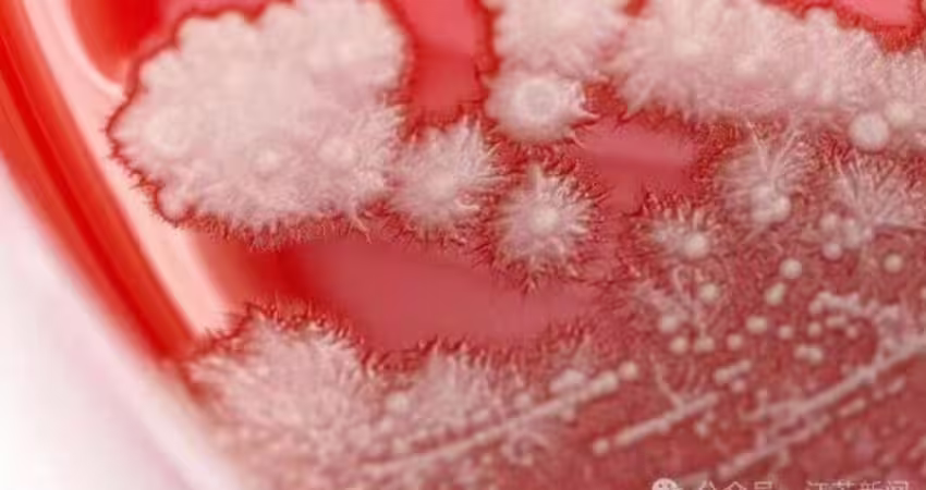 感冒秒吞抗生素！36歲男喉嚨痛　一照「長滿雪花」醫嚇愣