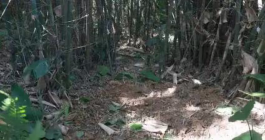 他挖蚯蚓挖出「30公斤大寶物」　專家驚嘆：來自千年前