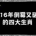 2016年倒霉又破財的四大生肖