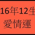 2016年 12生肖 愛情運 。。分享。。