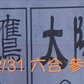 12/31 六合 【紅鷹。太陽神】參考 殺豬版