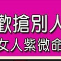 專門喜歡搶別人的男人的女人紫微命格