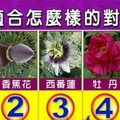 超神測驗~【我適合怎樣的對象？】。留言1688一路發。。