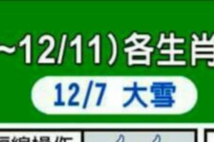 12/5~12/11 各生肖整體運勢