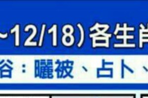 12/2~12/18 各生肖整體運勢