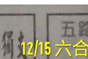 12/01 六合 。【五路財神到】【冠軍鴿】。參考。參考。。