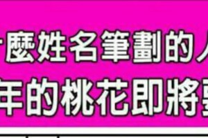 什麼姓名筆劃的人，等了多年的桃花即將要開了？