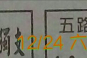 12/24 六合  {五路財神} 《冠軍鴿》。參考。殺豬版