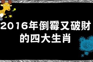 2016年倒霉又破財的四大生肖