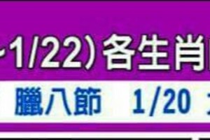 1/16~1/22 各生肖整體運勢