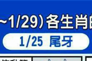 1/23~1/29 各生肖整體運勢