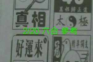 2/20 六合 。【好運來】【真相】【太極】 【冠軍鴿】。。參考。參考。。