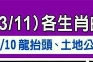 3/5~3/11 各生肖整體運勢