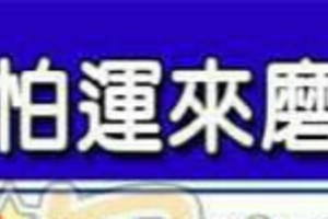 天生命好不怕運來磨的人手面相