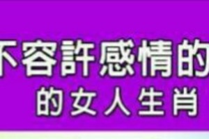 絕不容許感情的背叛的女人生肖