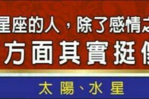 12星座的人，除了感情之外，在哪方面其實挺傻的？