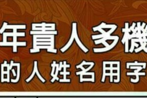 2016年貴人多機會多的人姓名用字