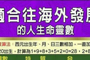 適合往海外發展的人命靈數