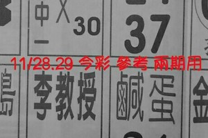 11/28.29 今彩 【八財神】。參考。兩期用