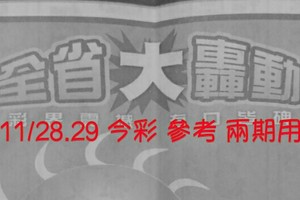 11/28.29 今彩 【大轟動】。參考。兩期用