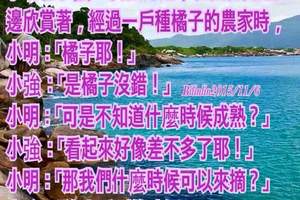 笑話補帖 31