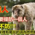 屬猴人：6月需要提防一個人，不可不防！別不信