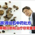 推薦兩款腎結石中藥處方腎結石的早期診斷和治療非常重要