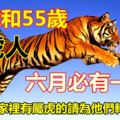 43歲和55歲的屬虎人火了！六月必有一喜！千萬別錯過！