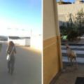 獸醫發現斷腿的狗狗一直要引領她去某個地方，結果好奇跟著走3公裡…眼前的畫面讓大家都感動哭！