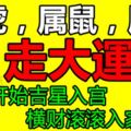 屬虎，屬鼠，屬豬人走大運，7月開始吉星入宮，橫財滾滾入家門！