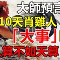 大師預言：未來10天肖雞人有「大事」臨頭，人算不如天算！