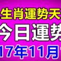 十二生肖運勢天天看，今日運勢：11月1日