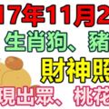 2017年11月24日生肖狗、豬、兔財神照耀、表現出眾、桃花盛開！