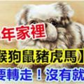 2018年家裡有【猴狗鼠豬虎馬】的人，一定要轉走！沒有就算了。