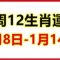 一周生肖運勢播報（1月8日—1月14日)