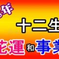 2018年，十二生肖的【桃花運】和【事業運】！