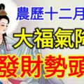 農曆十二月十八，大福氣降臨，發財勢頭旺，成為人生大贏家的4大生肖