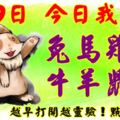 5月9日，今日我最旺！兔馬雞猴牛羊鼠豬！【17588】越早打開越靈驗！點個贊吧！