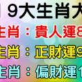 7月9大生肖大吉：貴人運80%，正財運90%，偏財運100%！