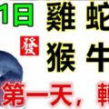 8月1日生肖運勢_雞、蛇、鼠大吉