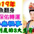 2019年咸魚翻身，菩薩保佑轉運平安無禍事，一順到底的3大生肖